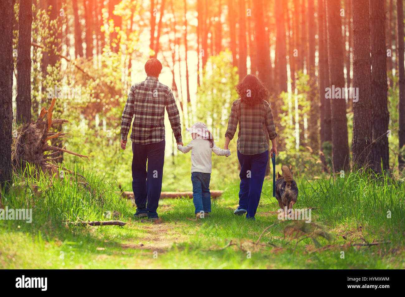 Family with dog walking in the forest back to camera Stock Photo