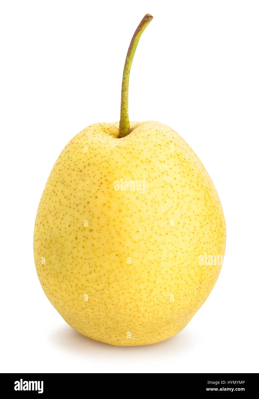 nashi pear isolated Stock Photo