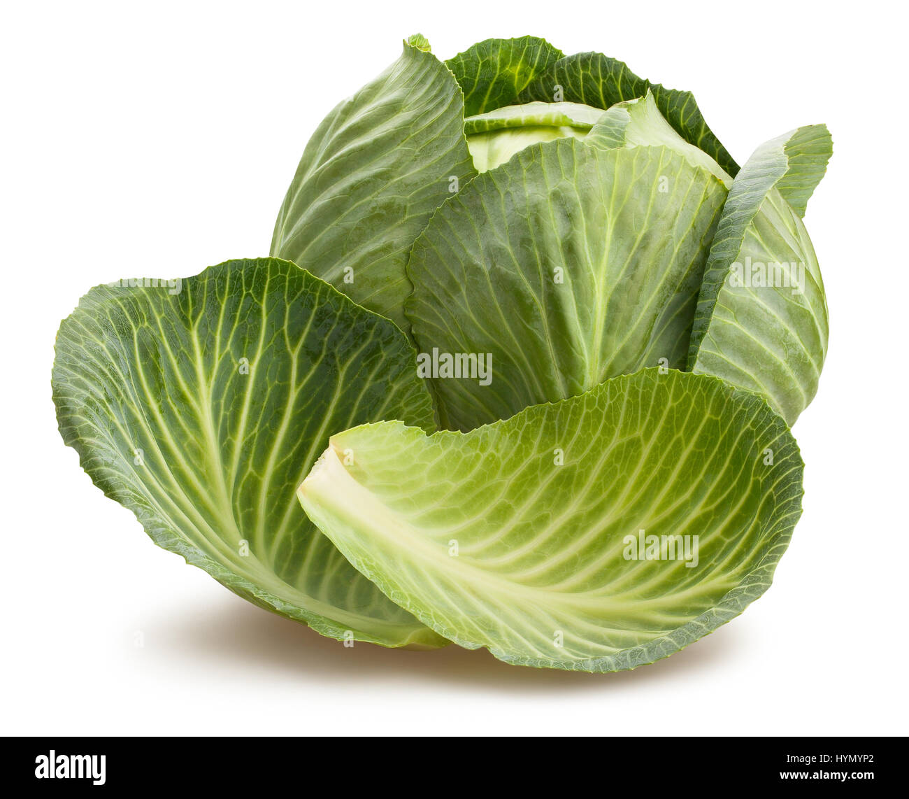 cabbage leaves isolated Stock Photo Alamy