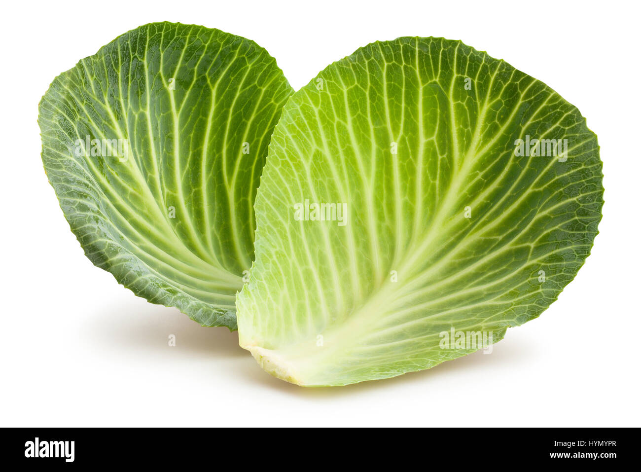 cabbage leaves isolated Stock Photo Alamy
