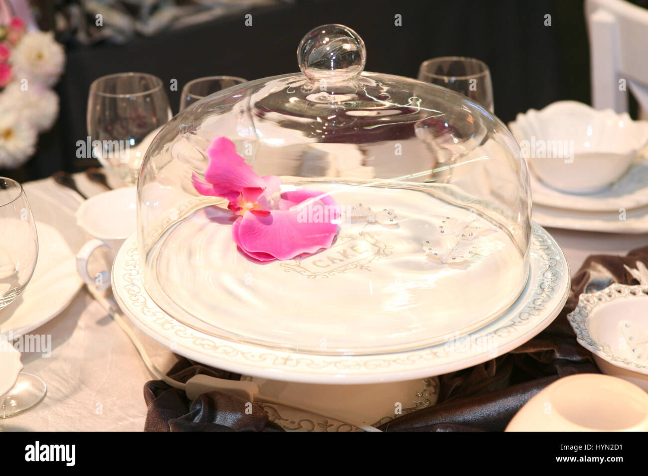 Empty cake container Stock Photo Alamy