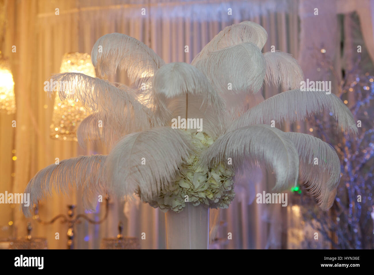 Ostrich Feathers In A Vase As A Decoration Stock Photo 137531814