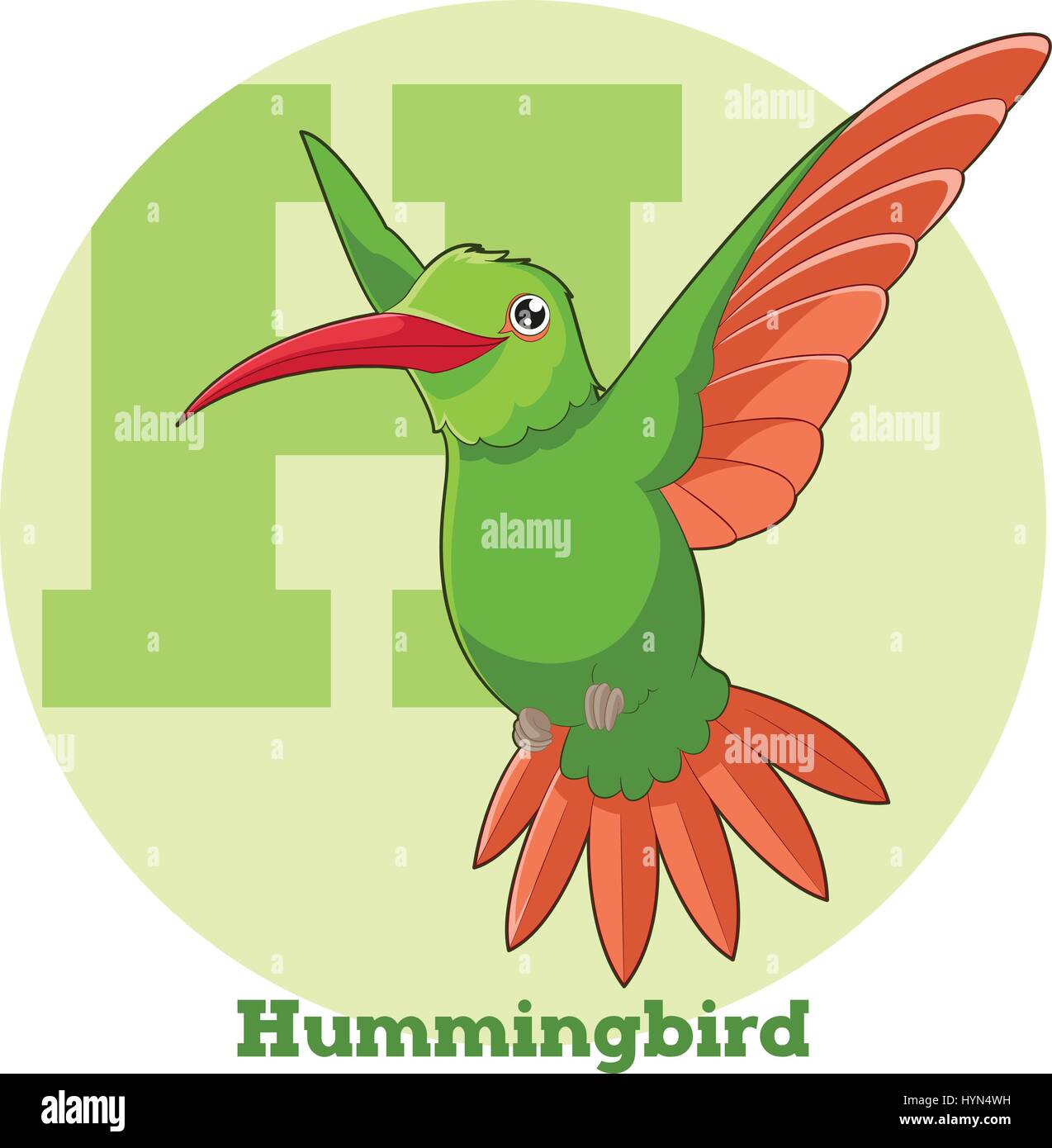 ABC Cartoon Hummingbird Stock Vector