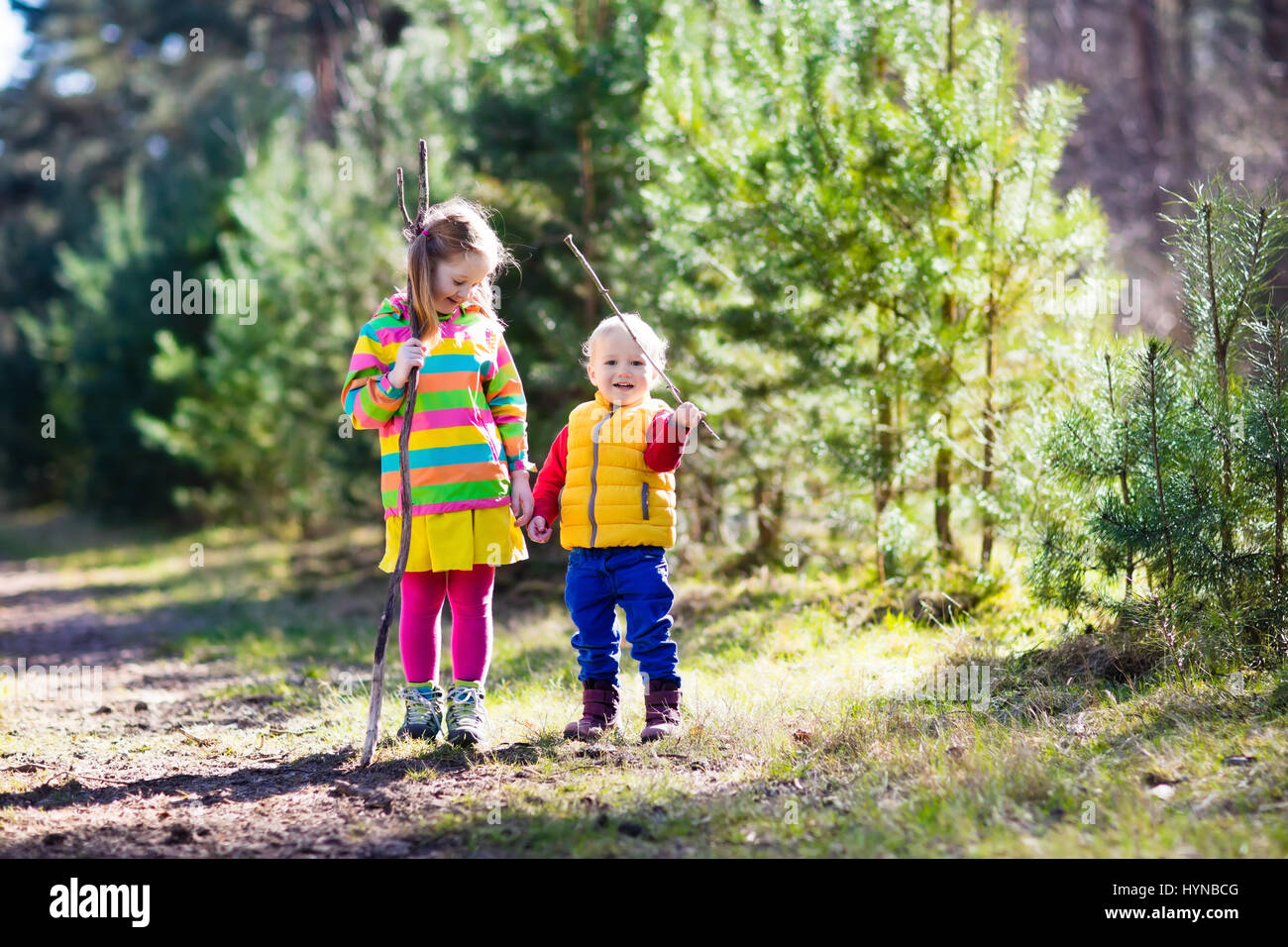 Little boy and girl camping and hiking in sunny summer forest. Kids hike in the Alps mountains. Family with children on autumn trekking trip and camp  Stock Photo