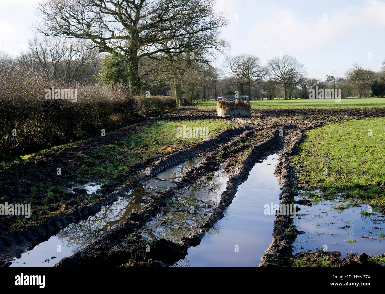 Muddy field hires stock photography and images Alamy