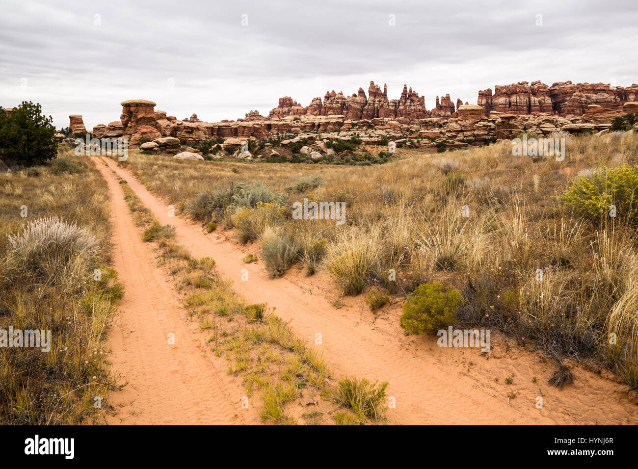A 4x4 road runs through sagebrush and sandstone towers and spires of hte desert of southern Utah. Stock Photo