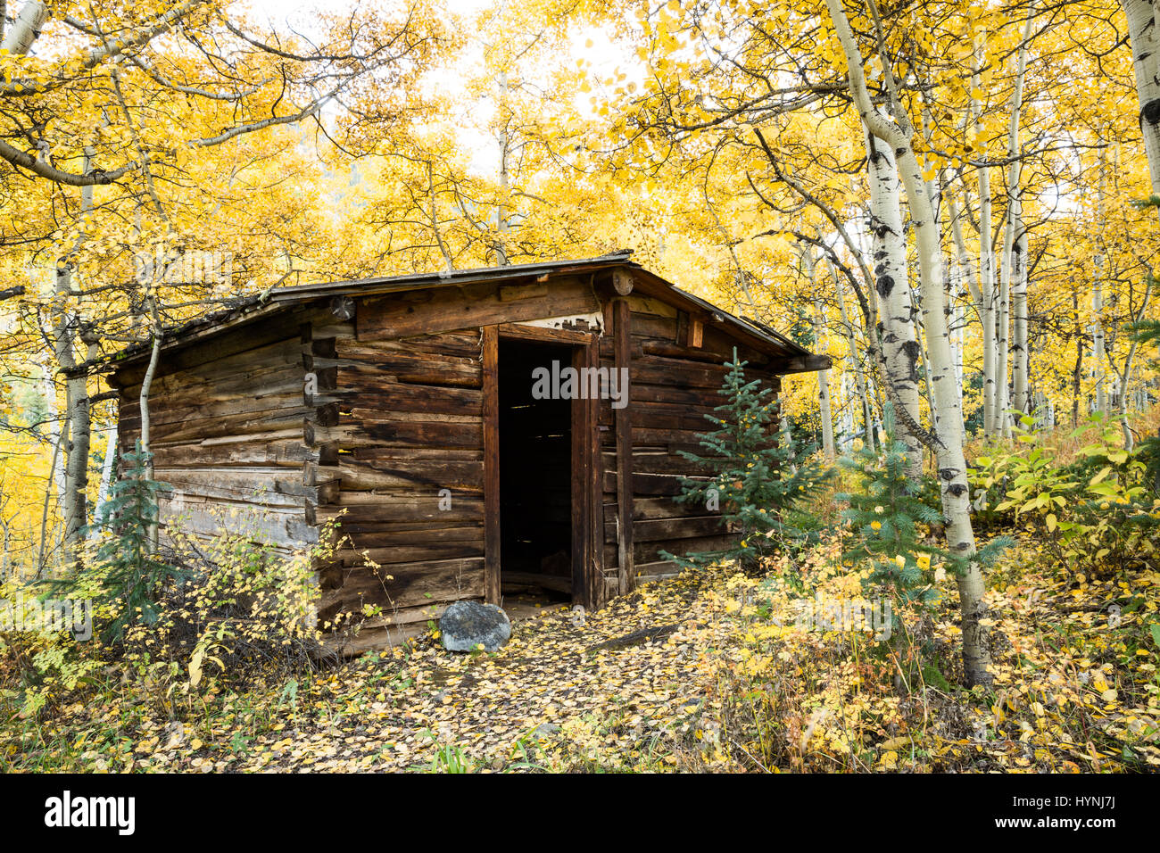 A Small Cabin In The Outskirts Of The Ashcroft Townsite Near Aspen