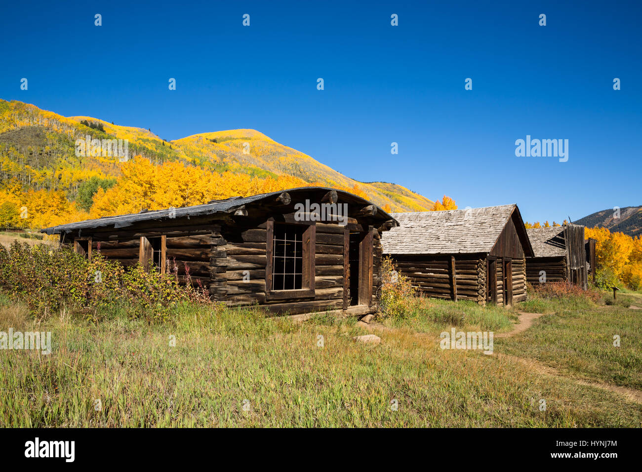 The Ashcroft townsite near Aspen, Colorado was once a booming mining town in the early 1880's. The area's narrow silver veins and crash of the silver  Stock Photo