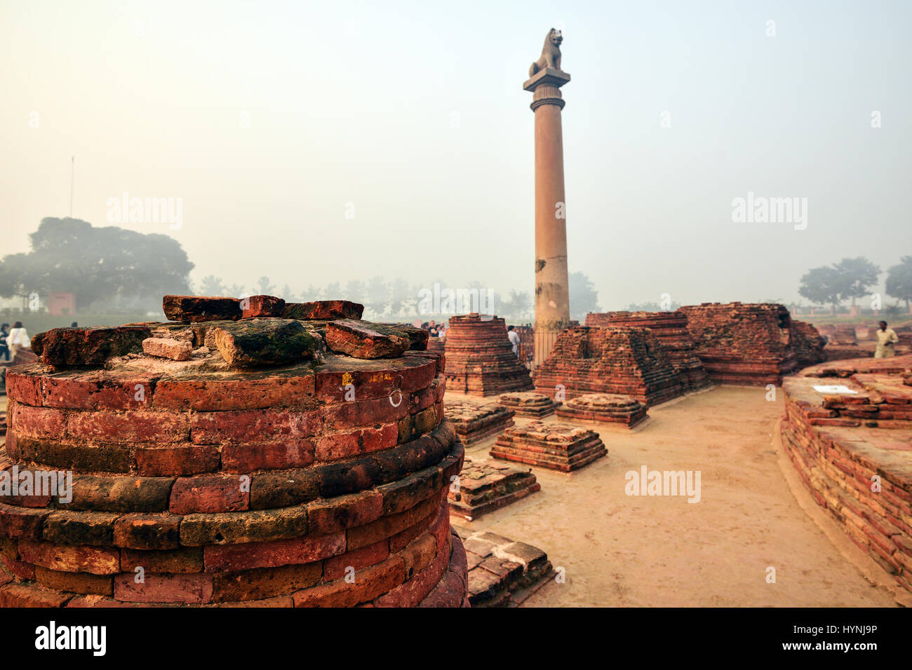 Life of India : Pillars of Ashoka in Vaishali Stock Photo - Alamy