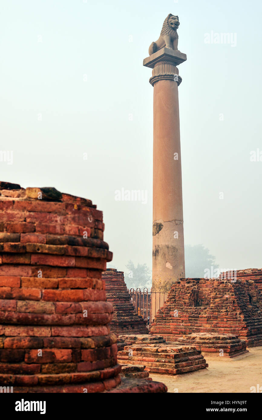 Life of India : Pillars of Ashoka in Vaishali Stock Photo