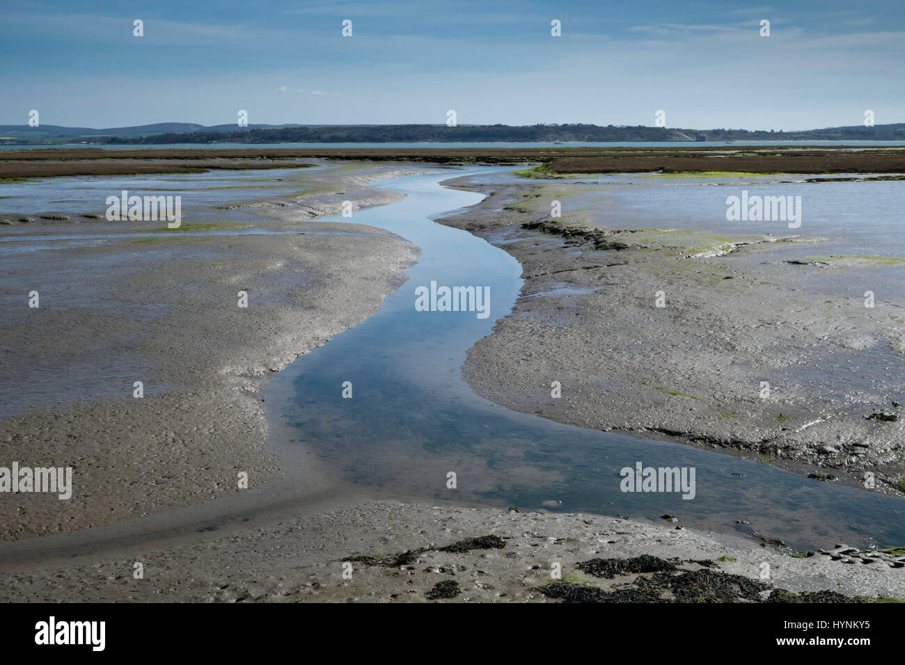A scenic water channel in the mudflats at Keyhaven Harbour with the tide out, leading to the Solent and Isle of Wight. Stock Photo