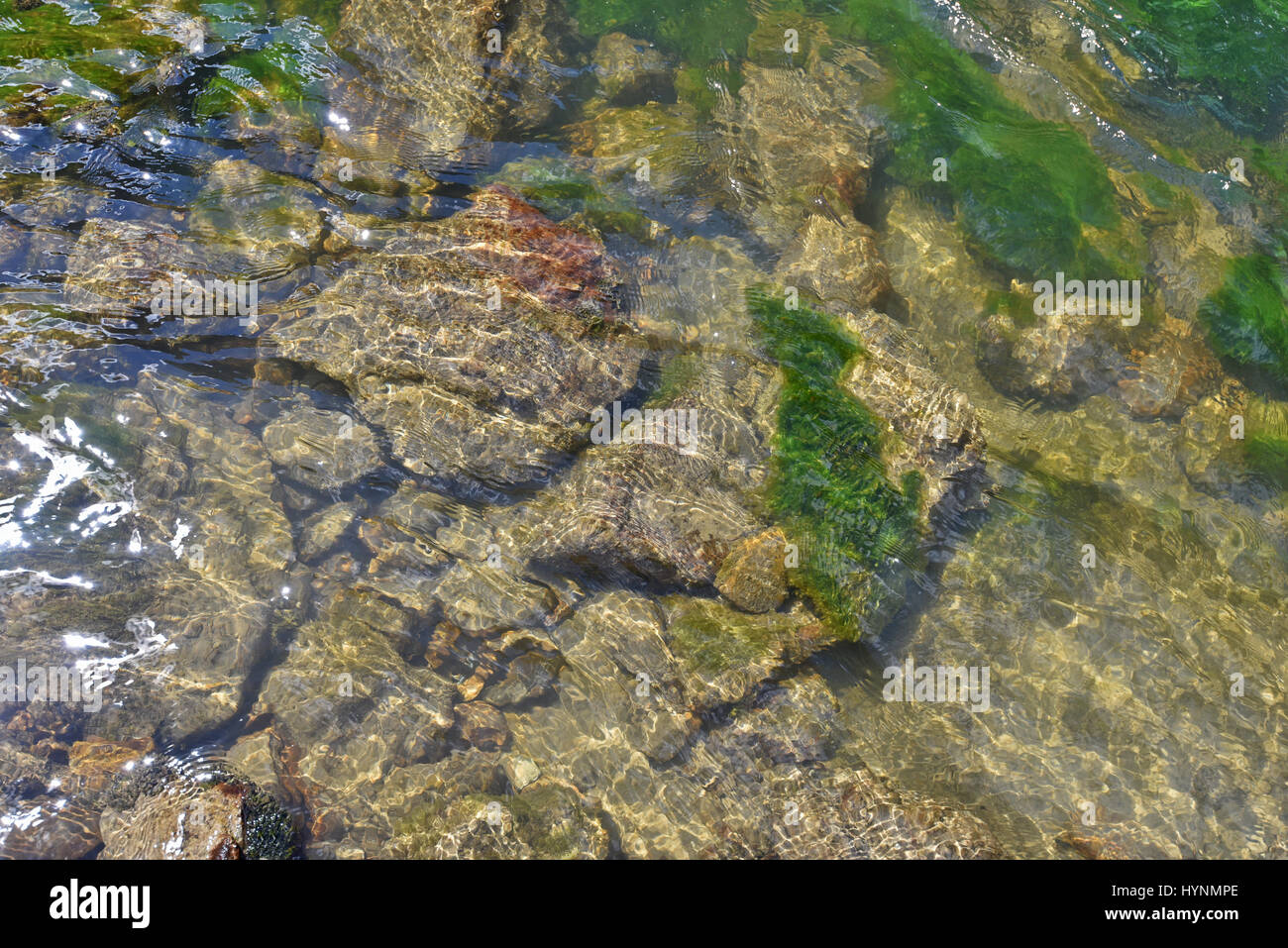 Close-up of the stones through clear water flowing Stock Photo - Alamy