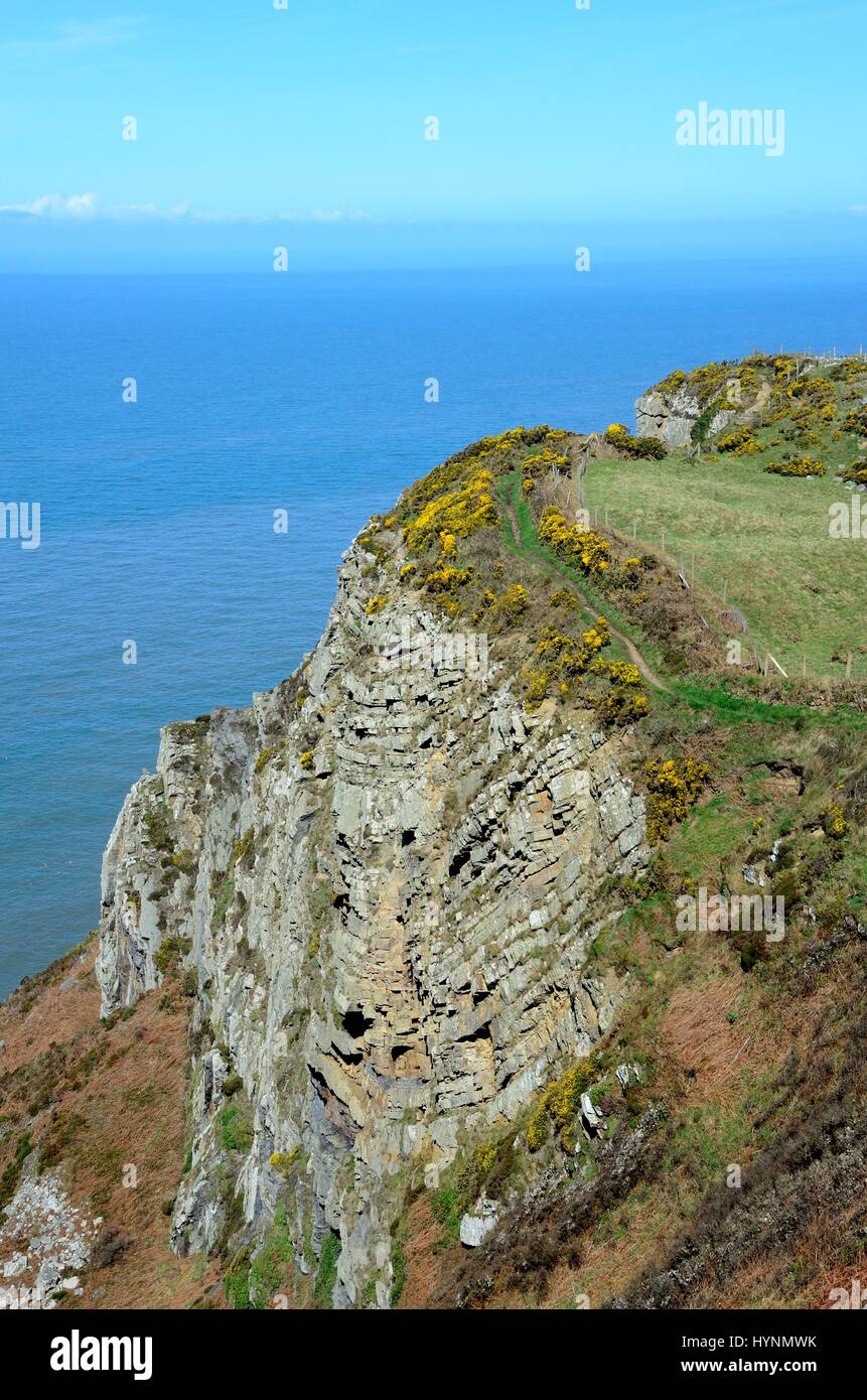Footpath on cliff edge at Cemaes Head Nature Reserve St Dogmaels Pembrokeshire Wales Cymru UK GB Stock Photo