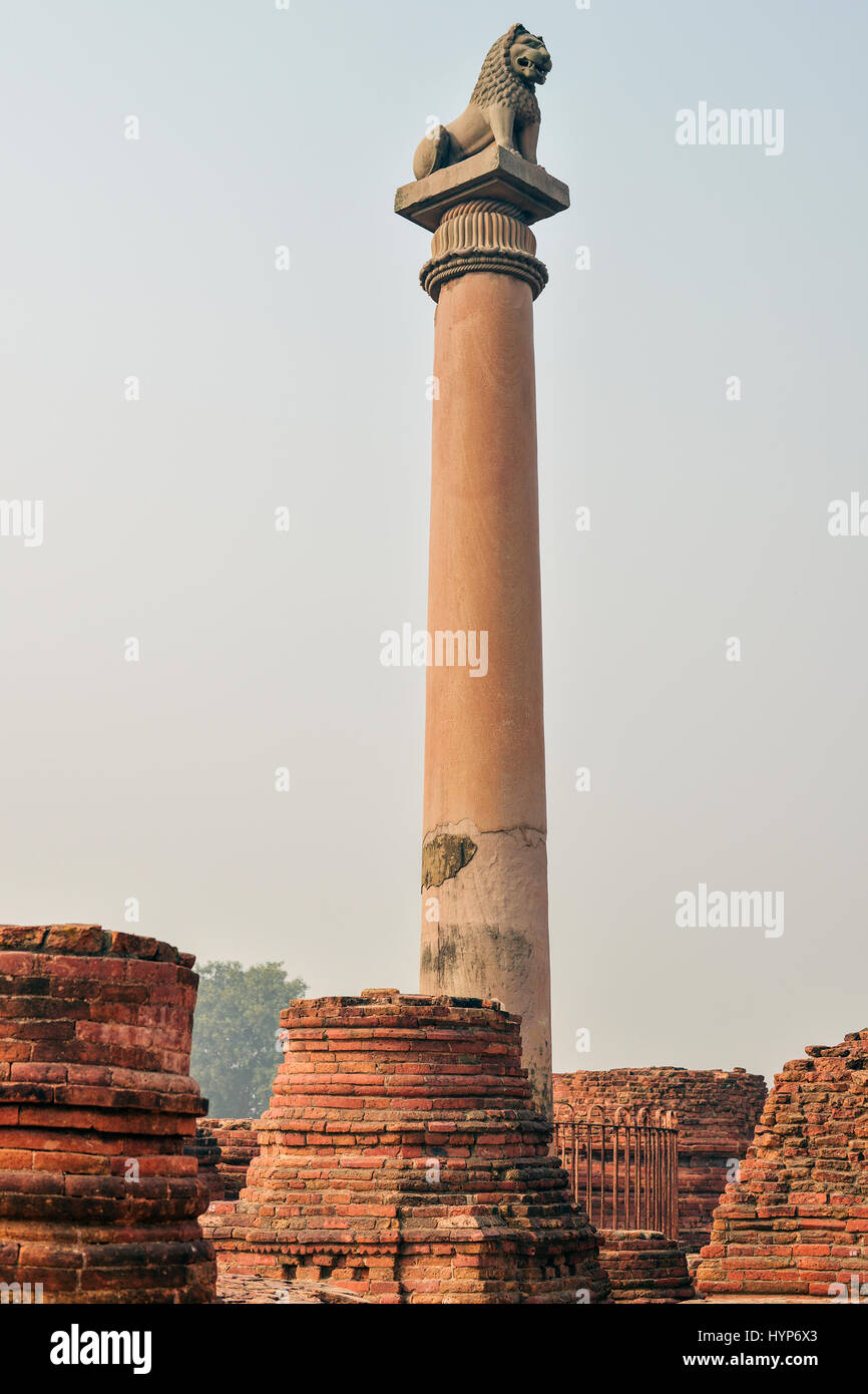 Life of India : Pillars of Ashoka in Vaishali Stock Photo