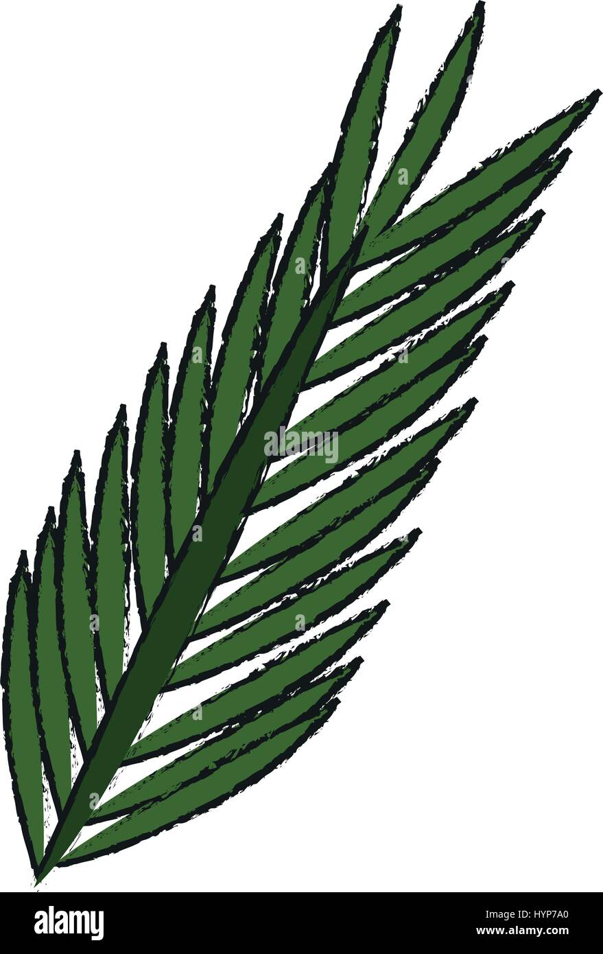 tropical leaves design Stock Vector Image & Art - Alamy