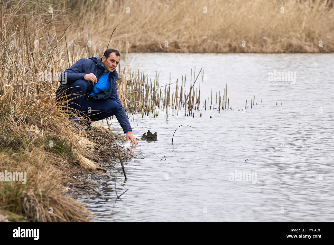 Caucasian male hiker by the lakeside on a trail Stock Photo - Alamy