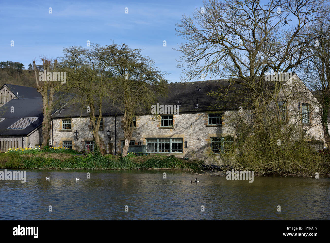 River Wye at Bakewell with wildfowl Stock Photo