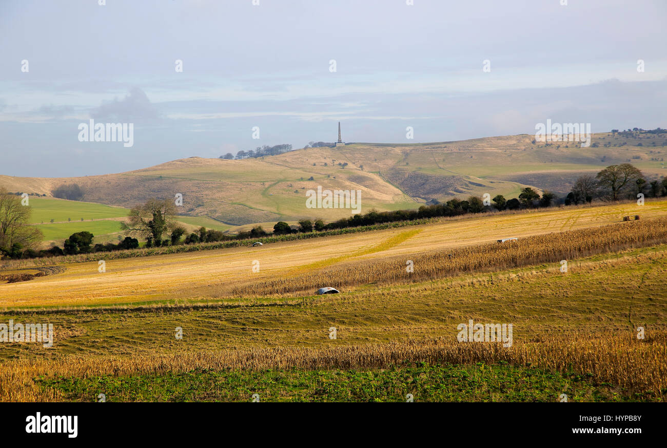 Chalk landscape view to Lansdowne monument, Cherhill, North Wessex Downs, Wiltshire, England, UK  near Calstone Wellington Stock Photo