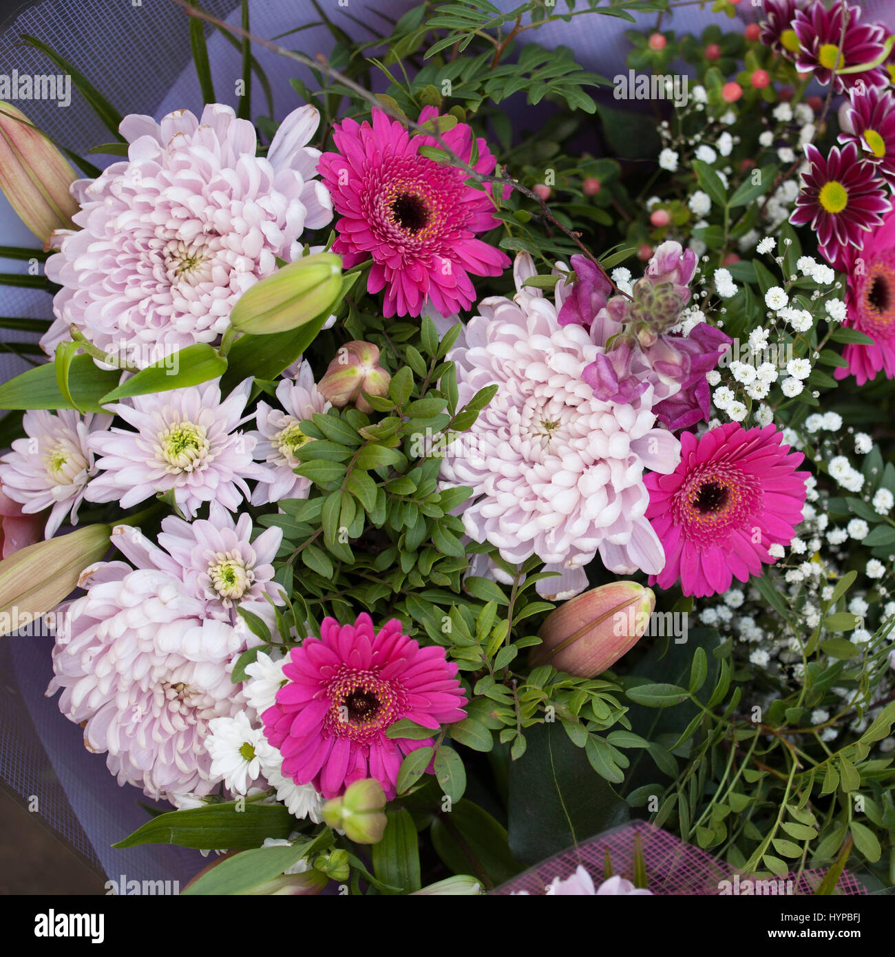 Bouquet of chrysanthemums, gerberas, chamomiles in paper packing Stock Photo