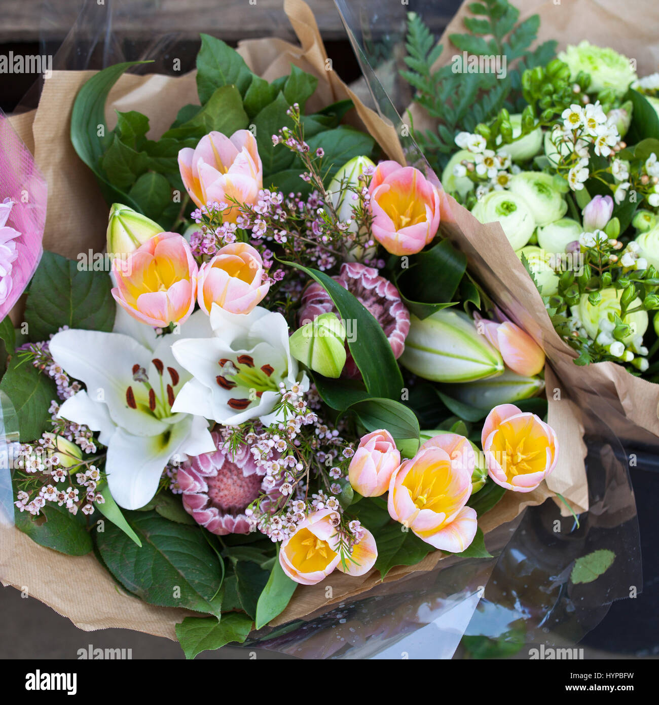 A bouquet of buds of lilies, pink tulips and protea Stock Photo