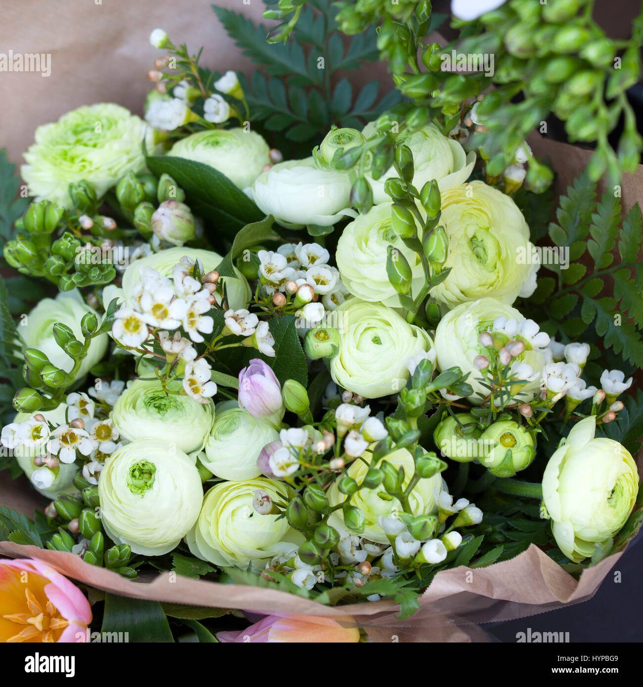 Wedding bouquet of white Ranunculus and freesia Stock Photo