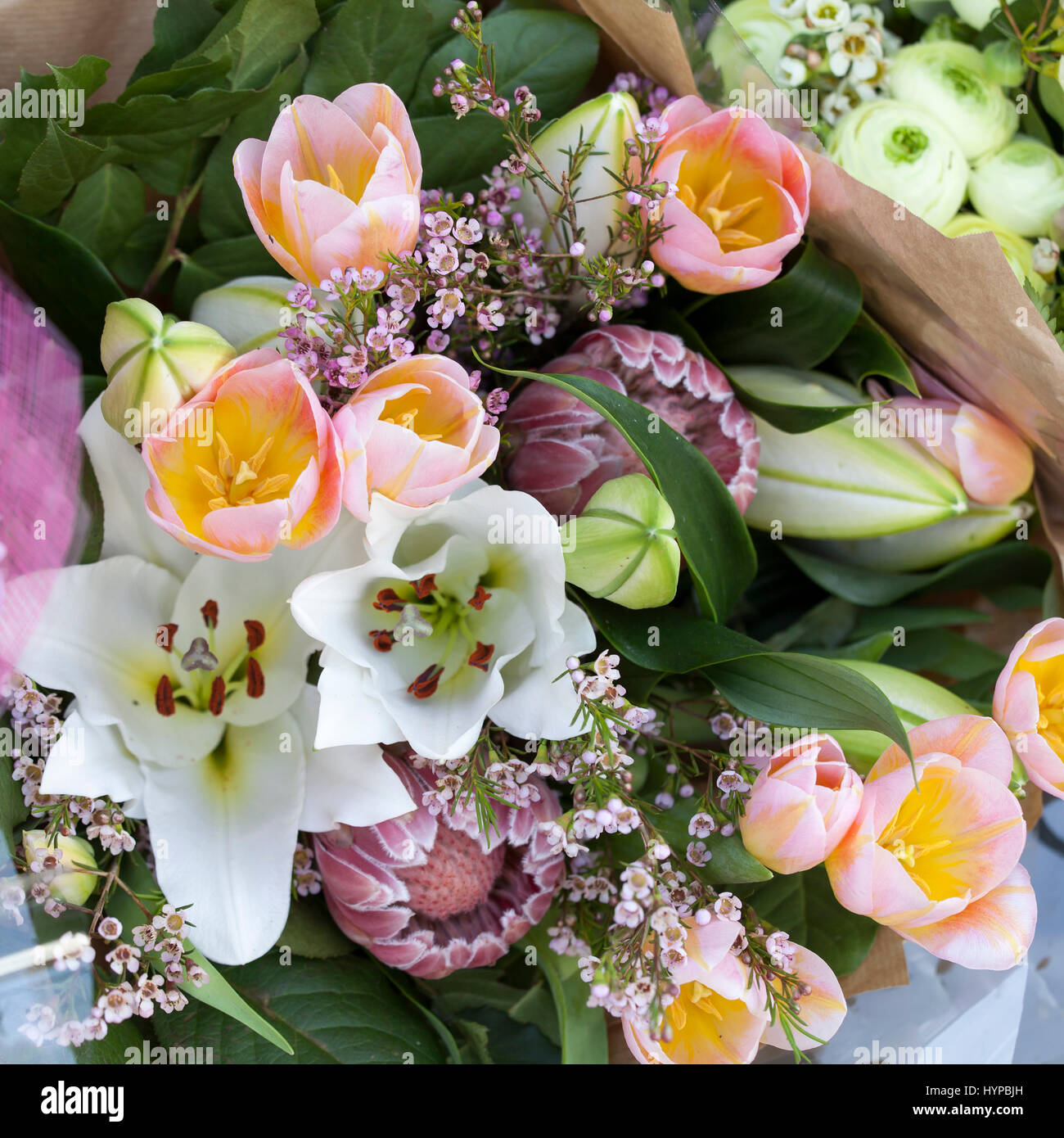 A bouquet of buds of lilies, pink tulips and protea Stock Photo