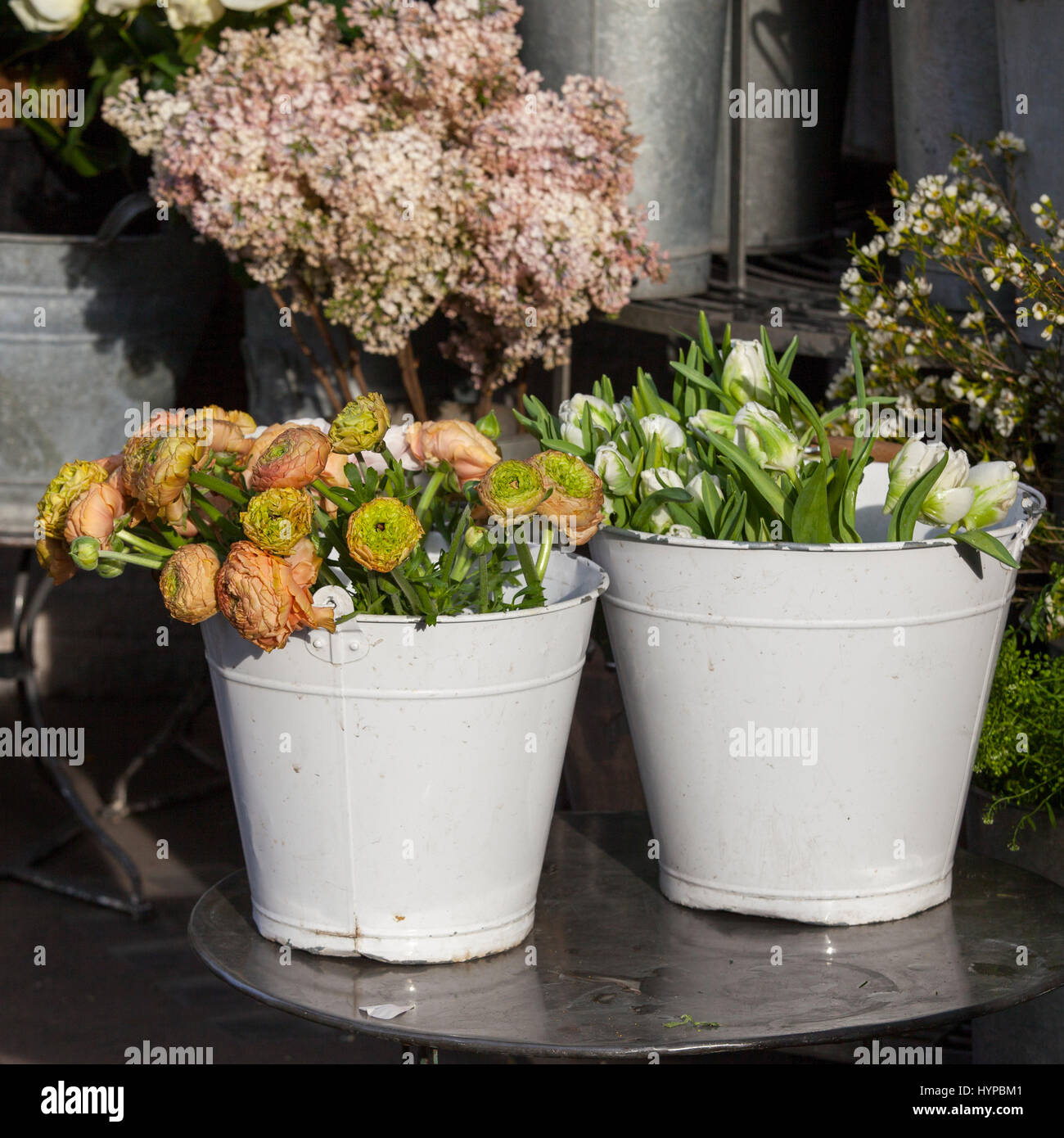 Bouquet of orange Ranunculaceae for sale Stock Photo