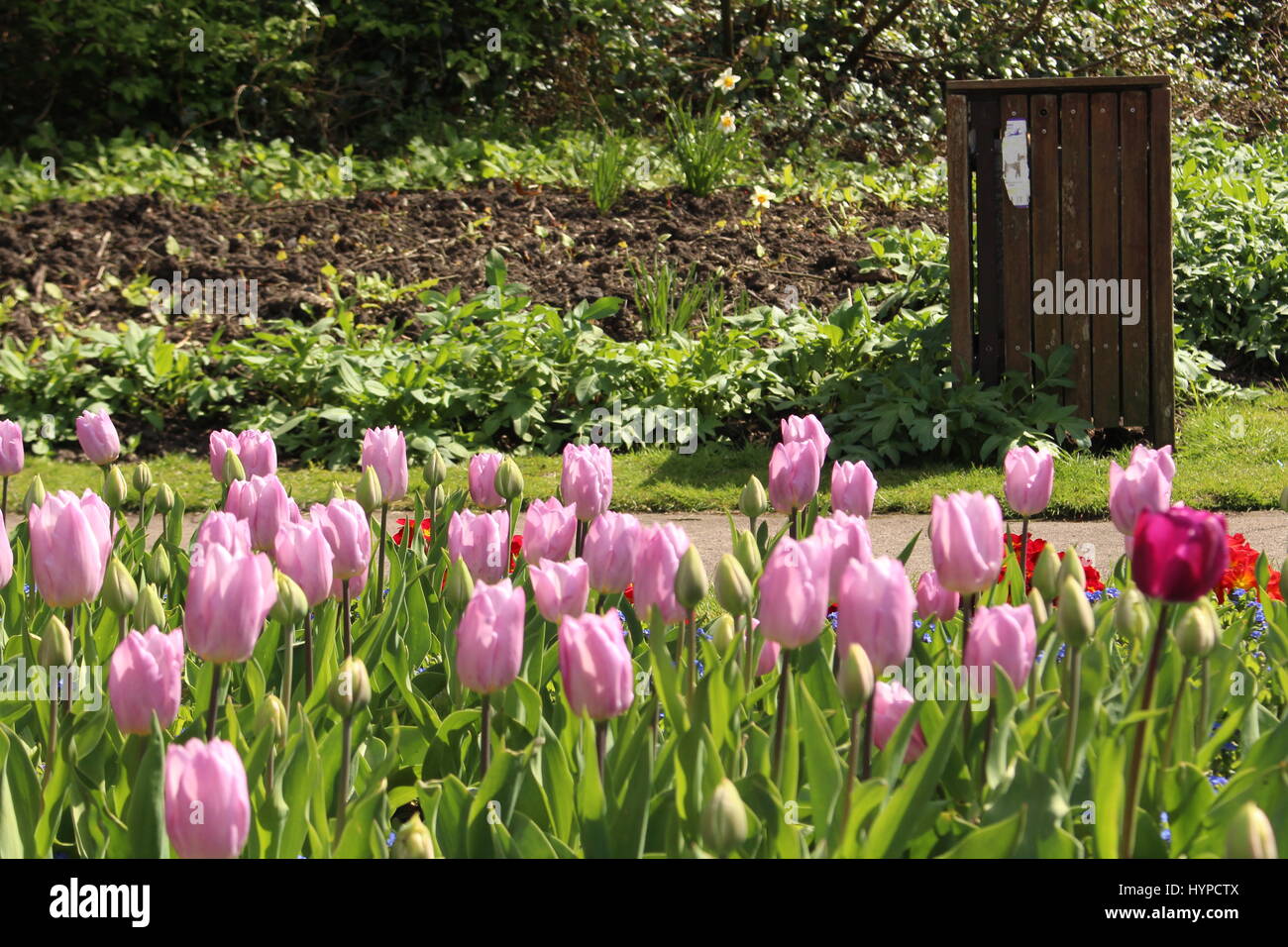 Kingsnorth Gardens, Folkestone Stock Photo Alamy