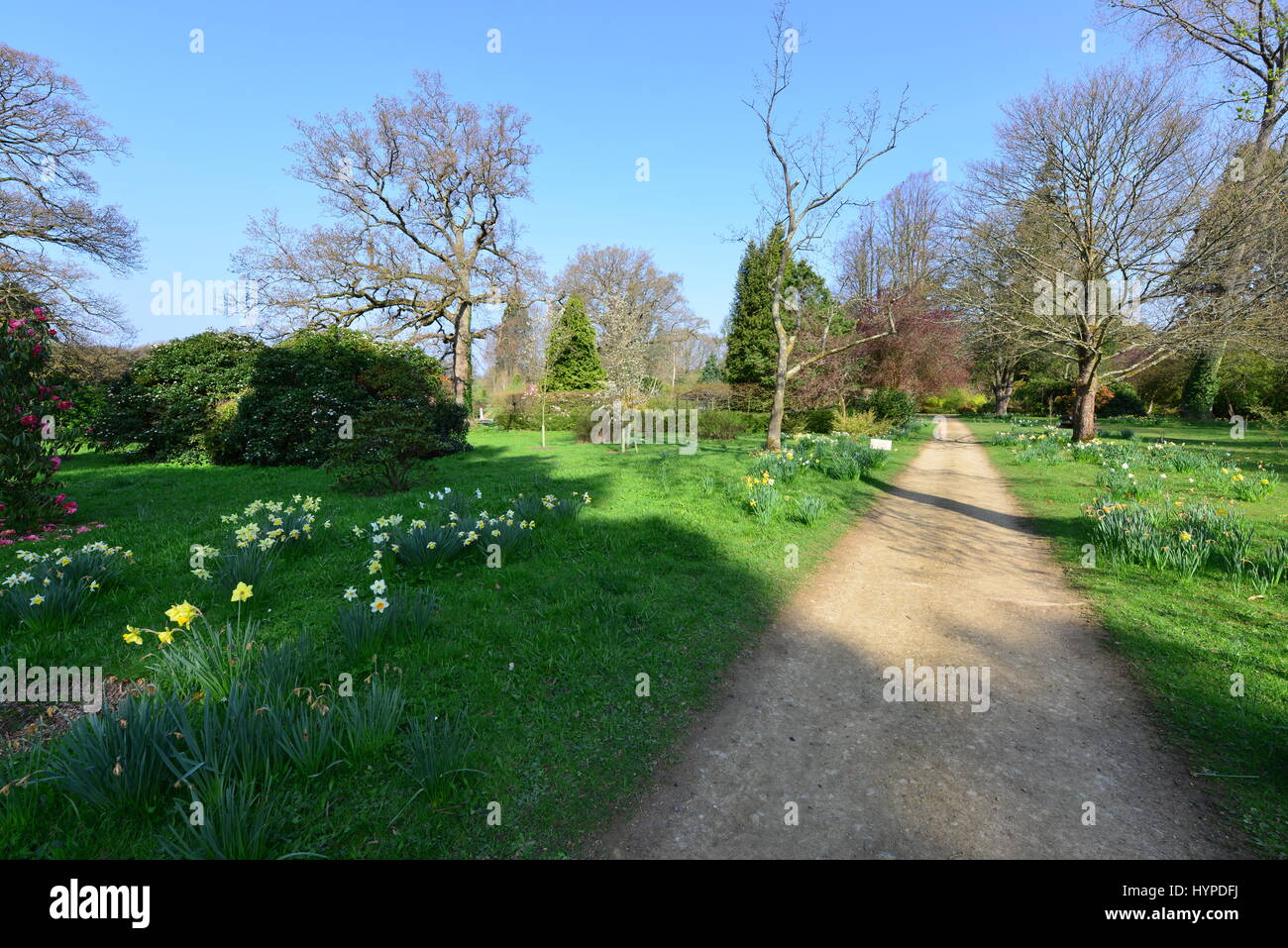 The gardens of an English country estate in Springtime Stock Photo - Alamy