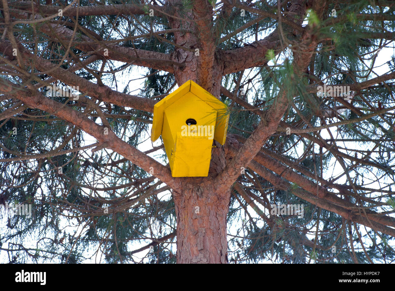birdhouse hanging from tree.Beautiful yellow birdhouse hanging of a tree in the garden Stock