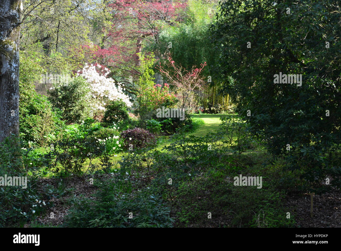 The gardens of an English country estate in Springtime. Stock Photo