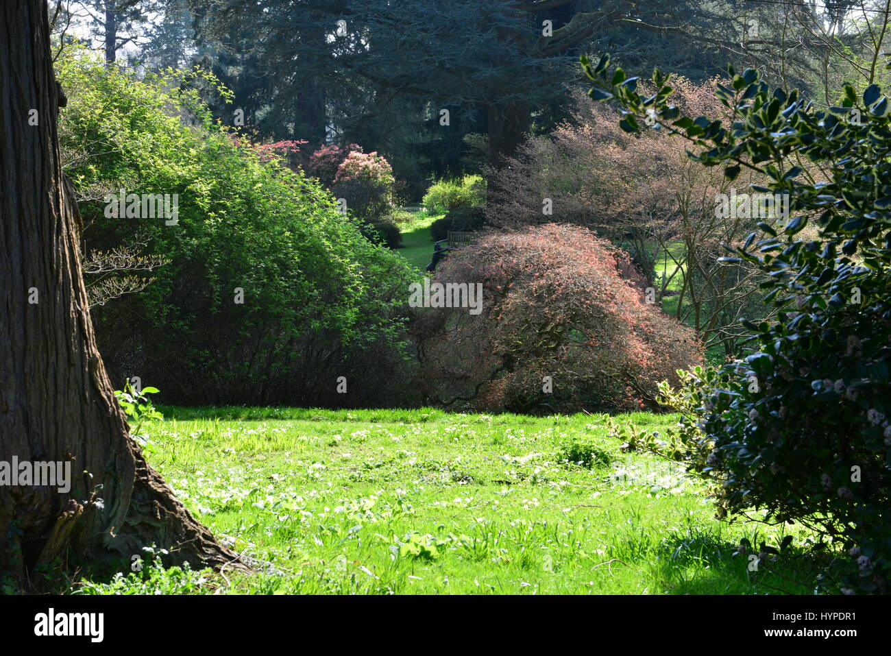 The gardens of an English country estate in Springtime. Stock Photo