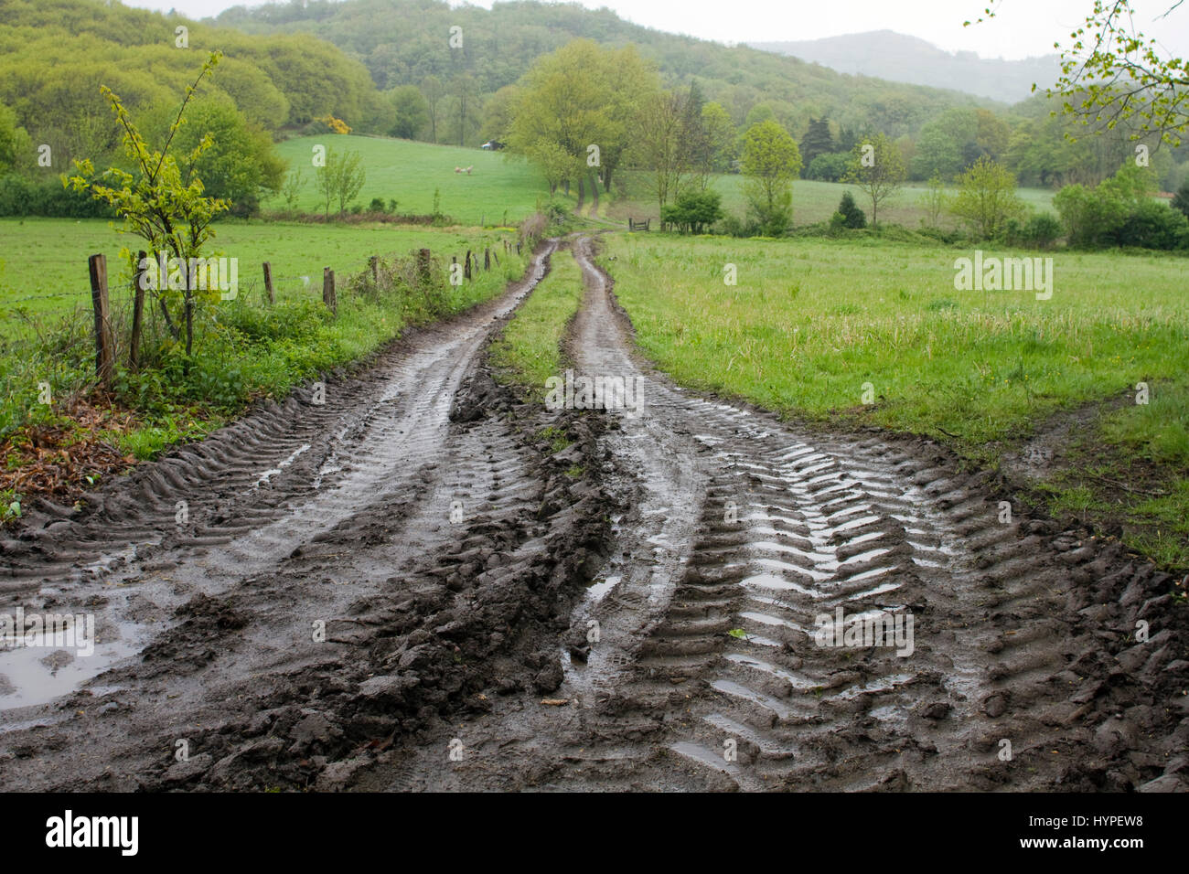 France, South-Western France, Haut-Languedoc Regional Nature Park, Montagne Noire, rubber tire marks on a wet path Stock Photo