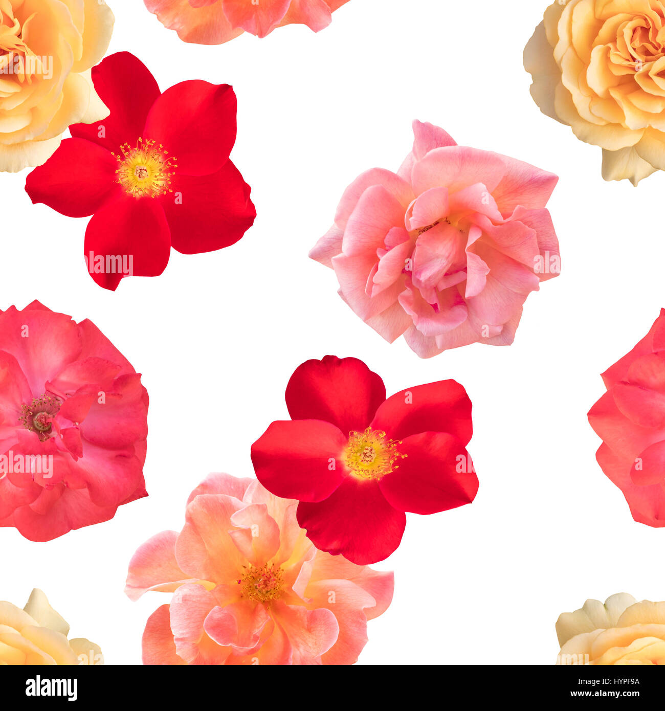 Seamless pattern with watercolor pink roses and butterflies Stock Photo ...