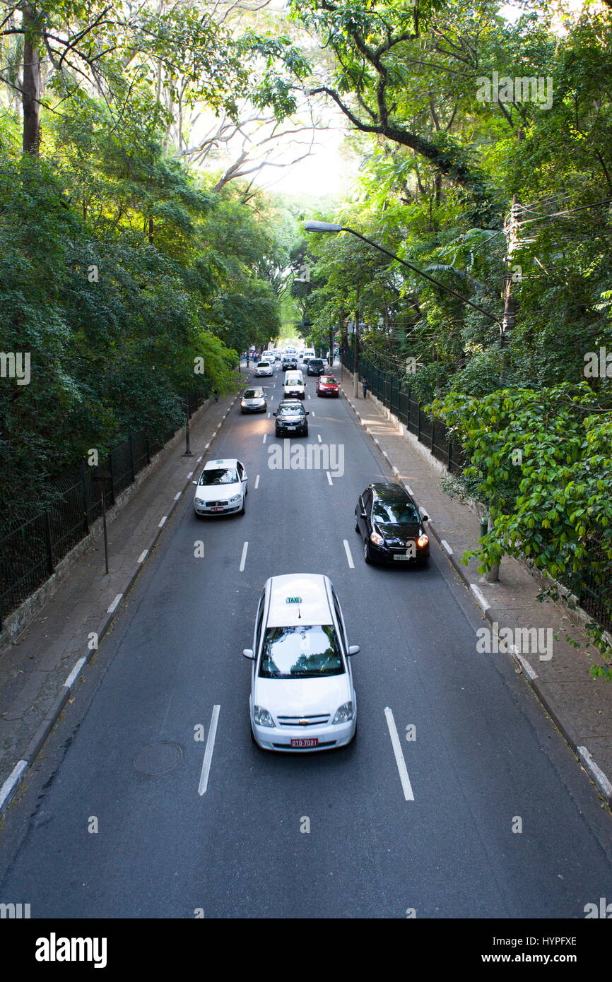 Brazil, Sao Paulo, Street Almeda Santos surrounded by trees in the city center Stock Photo