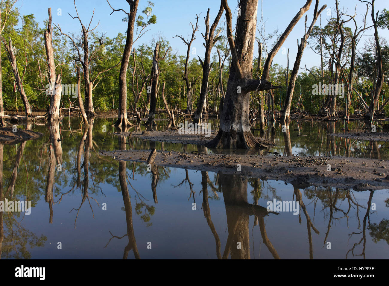 Wetland destruction hires stock photography and images Alamy