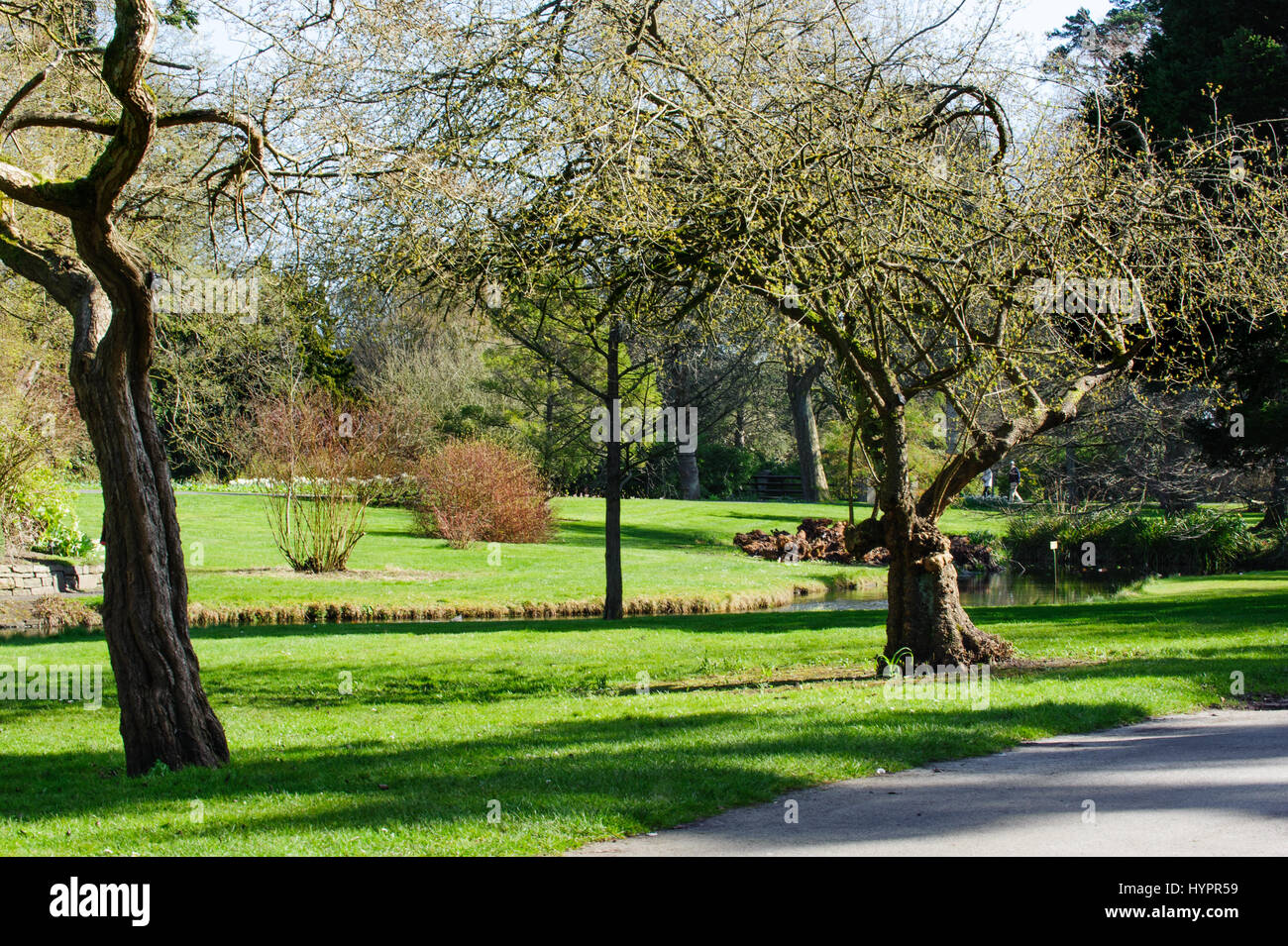 Dublin, Ireland - 15 March, 2017: Beautiful landscape in spring time in The National Botanic Gardens on March 15, 2017 in Dublin Stock Photo