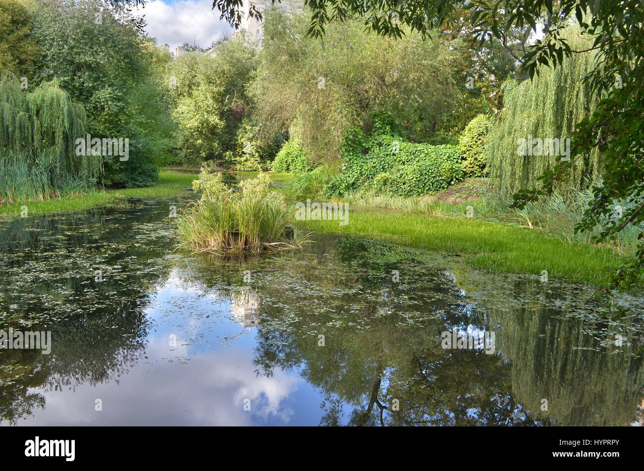 The city pond is surrounded by greenery Stock Photo - Alamy