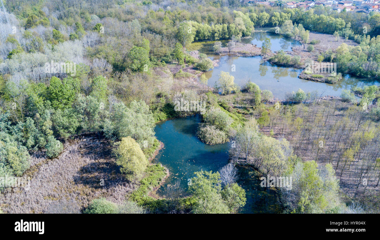 Nature and landscape: Aerial view of a forest and lakes, green and trees in a wilderness landscape Stock Photo