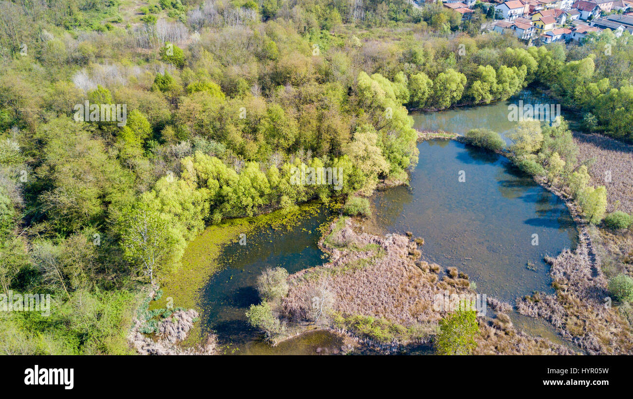 Nature and landscape: Aerial view of a forest and lakes, green and trees in a wilderness landscape Stock Photo