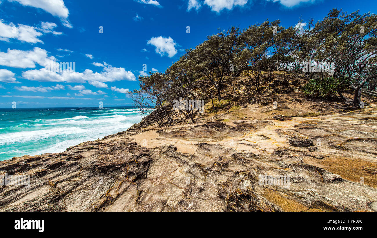 Bushes on the beach Stock Photo