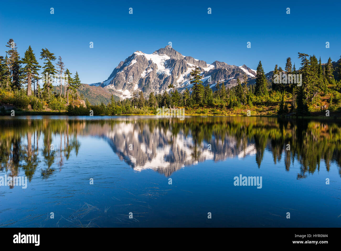 Mount Shuksan in  Washington State reflects in Picture Lake under a perfect clear blue sky Stock Photo