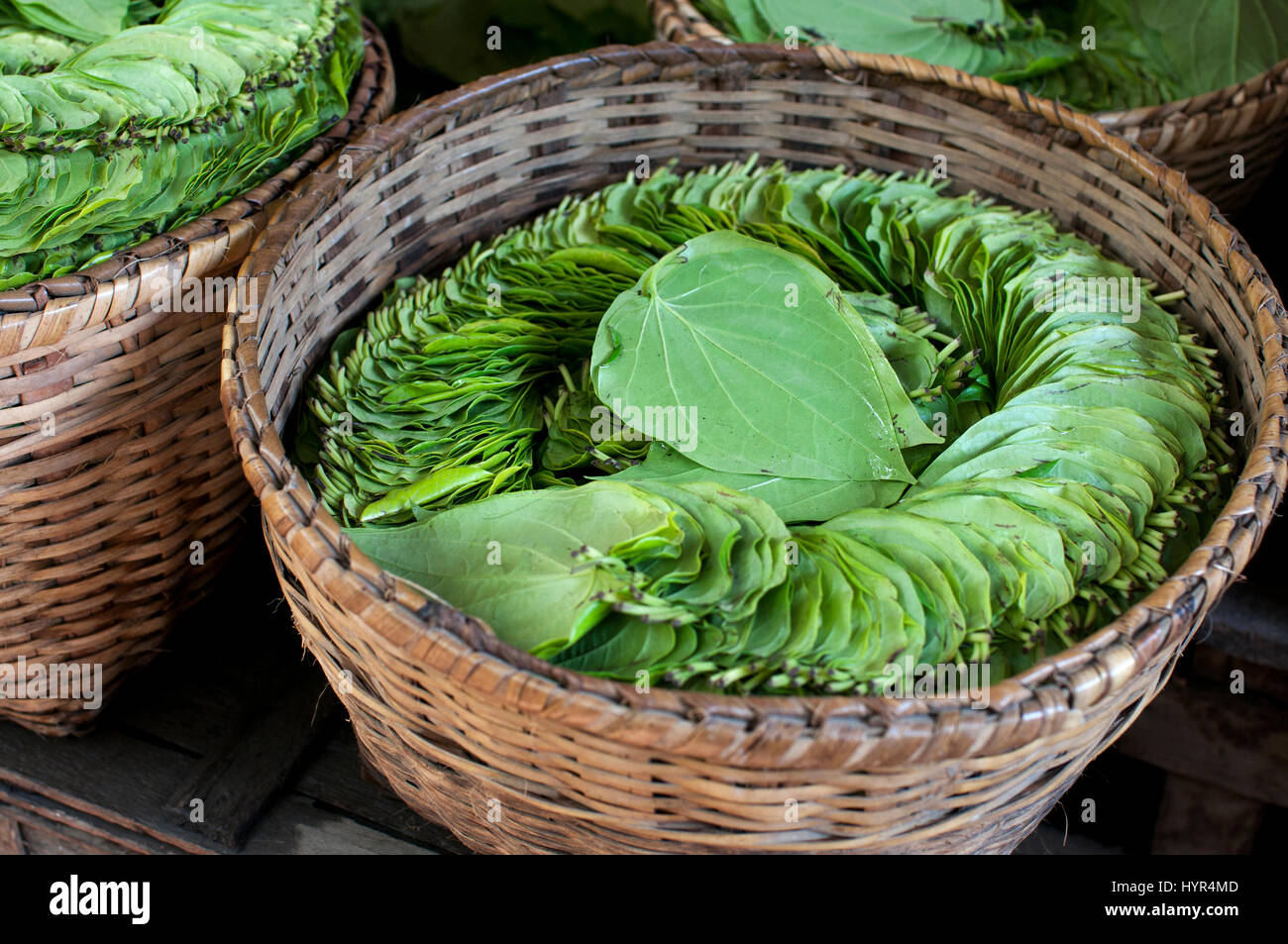 Myanmar (Burma). Bagan. Nyaung U market. Leaves for betel chewing. Stock Photo