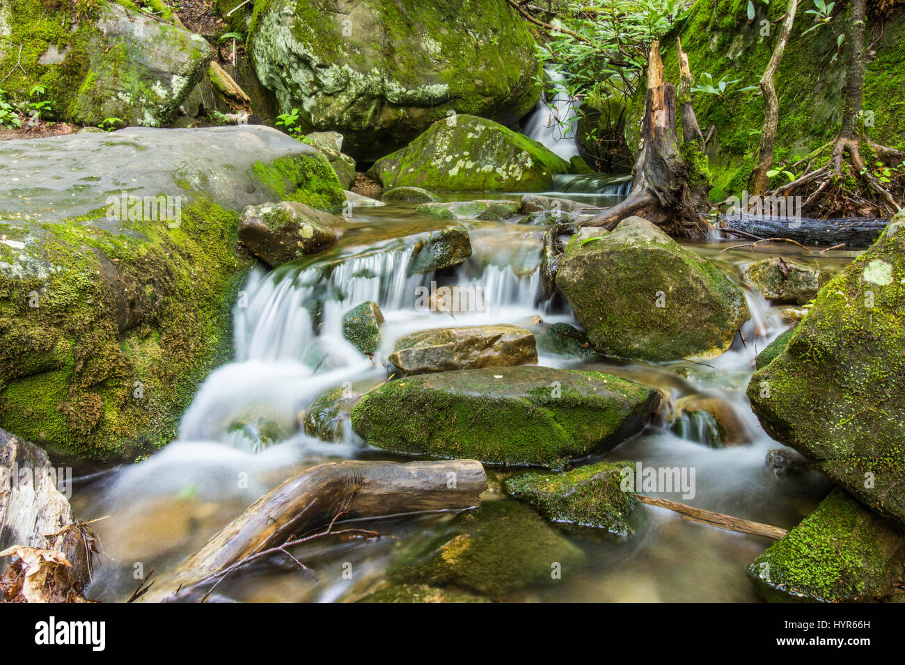 A stream flowing the Appalachian forest of Eastern Kentucky, near Bad Branch Falls. Stock Photo
