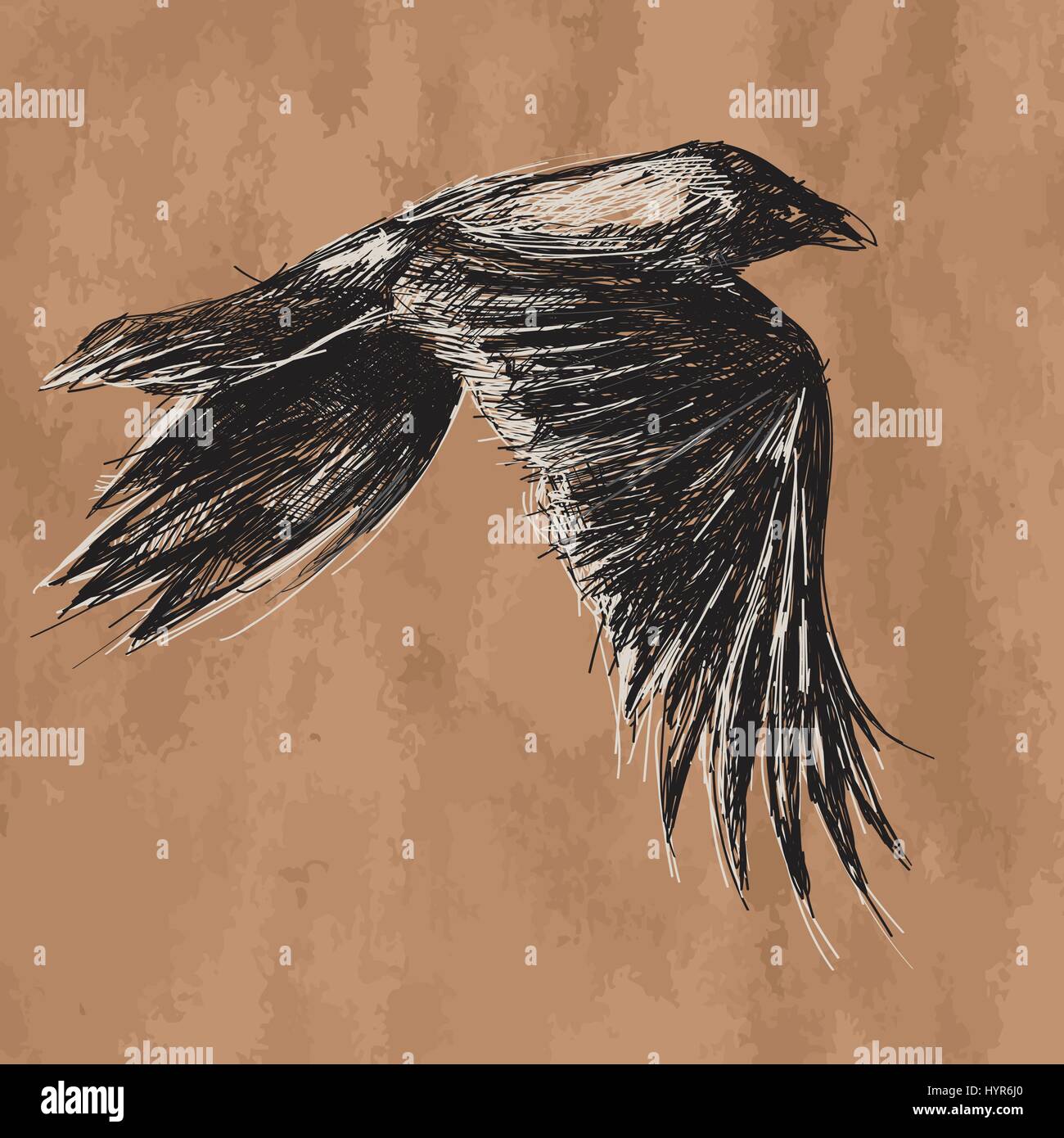 Premium Vector  Flying crow silhouette
