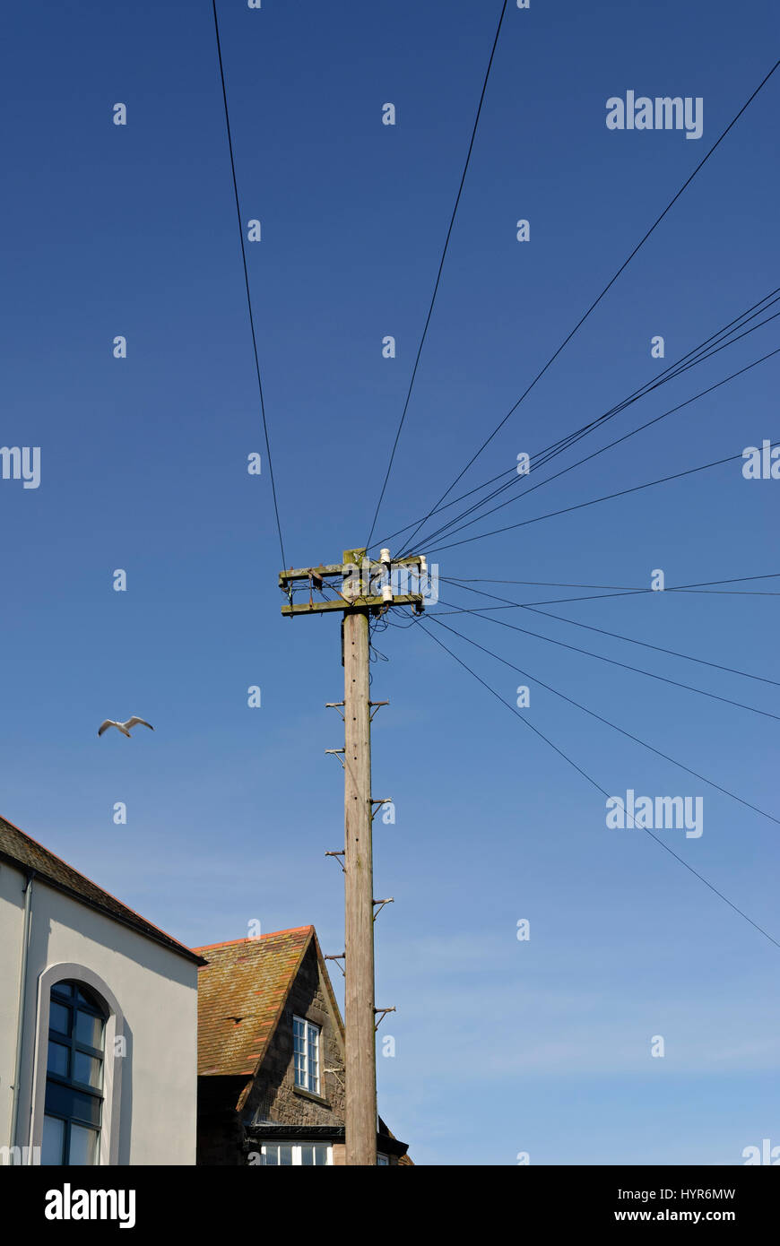 Telegraph pole and telephone wires Stock Photo