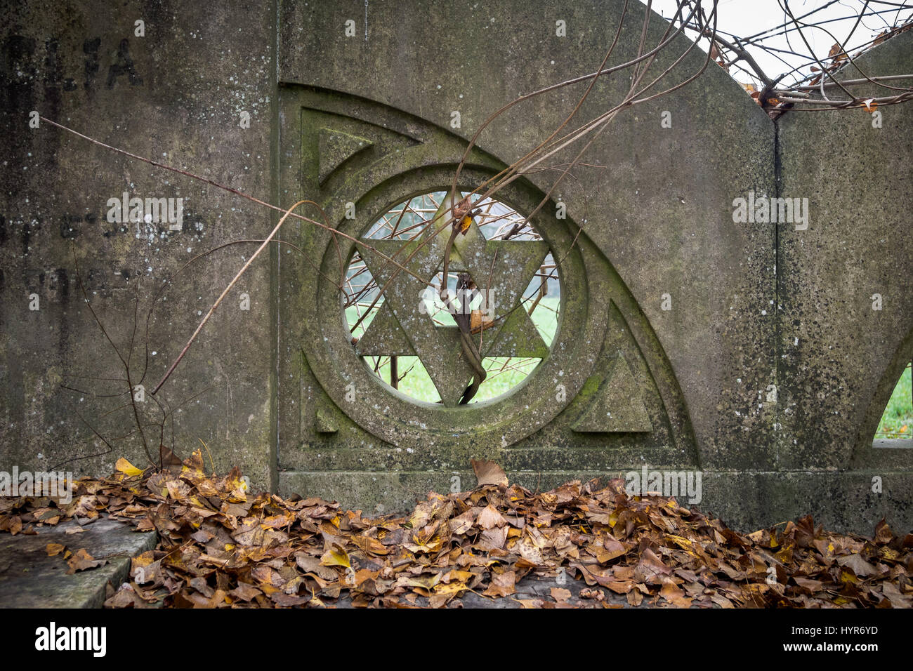 star studded nike air force ones