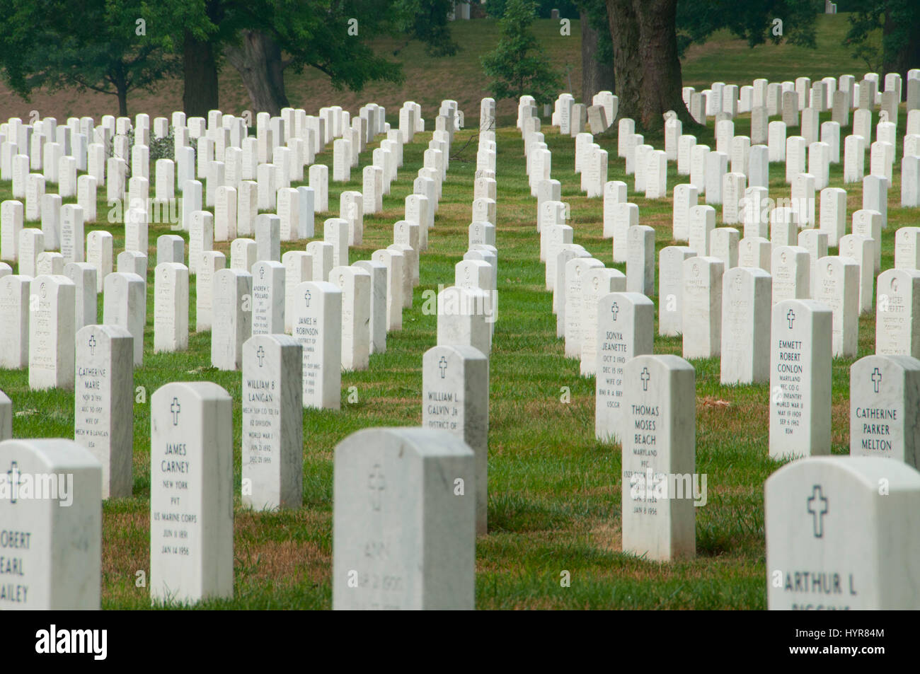 Gravestones, Arlington National Cemetery, Virginia Stock Photo