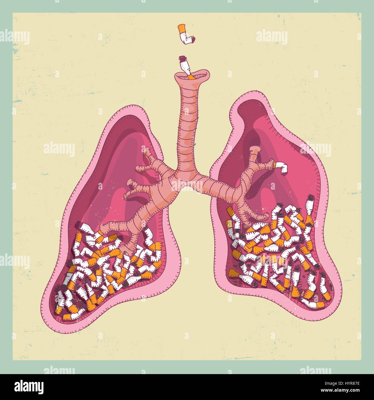 lungs full of cigarettes vector illustration no smoking Stock Vector Image  & Art