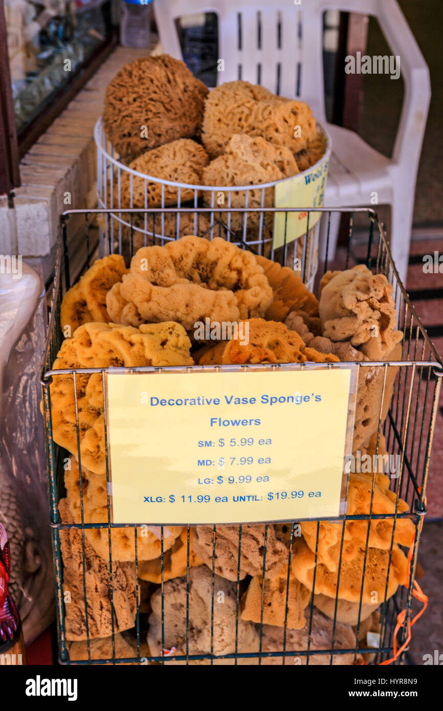 Natural sponges on sale in Tarpon Springs, Florida Stock Photo Alamy